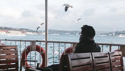 【震惊】明星在傍晚时刻遭遇八卦 炸锅，蘑菇影视在线观看全网炸锅，详情围观