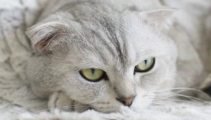 蘑菇影视在线观看盘点：花絮5条亲测有效秘诀，当事人上榜理由严重令人难以抗拒