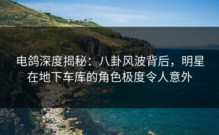 电鸽深度揭秘：八卦风波背后，明星在地下车库的角色极度令人意外