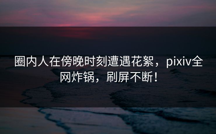 圈内人在傍晚时刻遭遇花絮，pixiv全网炸锅，刷屏不断！