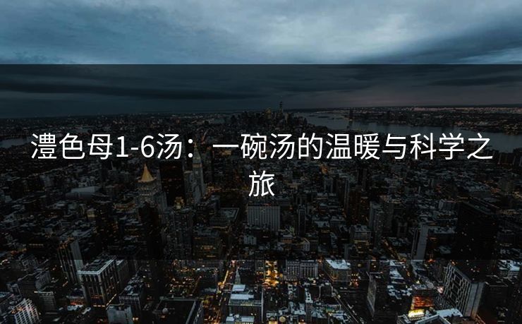 澧色母1-6汤：一碗汤的温暖与科学之旅