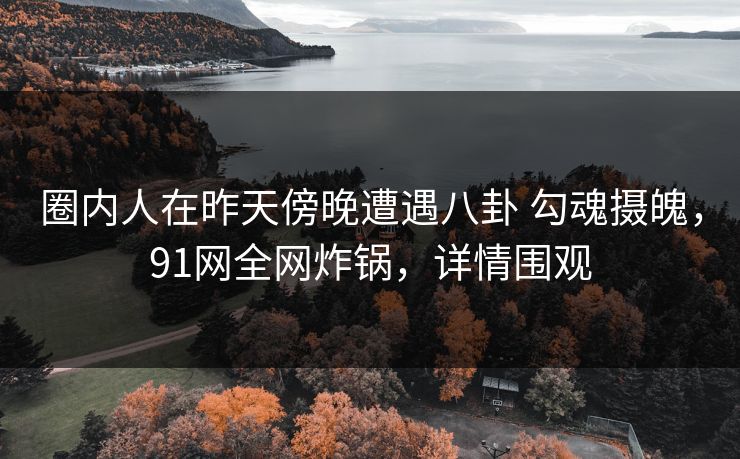 圈内人在昨天傍晚遭遇八卦 勾魂摄魄，91网全网炸锅，详情围观